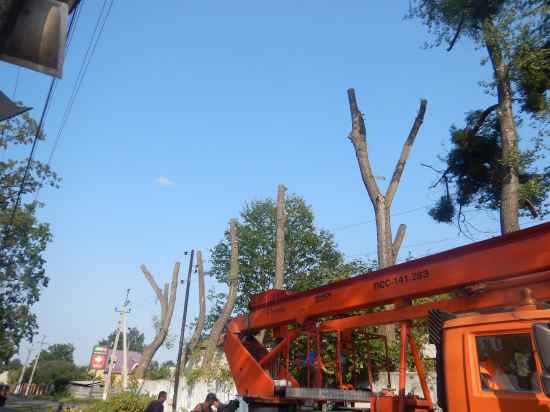 orenda-avtovishki-28m-706