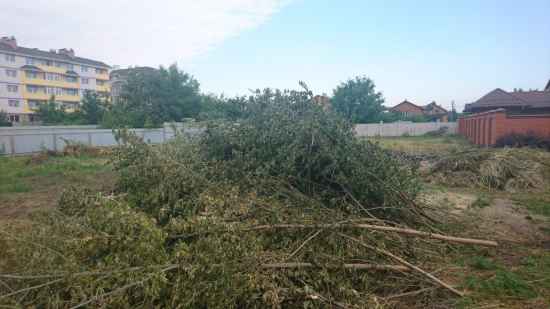 raschistka-uchastka-838