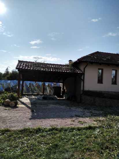 spil-avarijnykh-derevyev-784