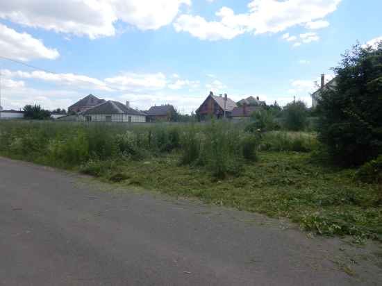 pokos-vysokogo-buryana-514