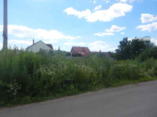 pokos-vysokogo-buryana-516