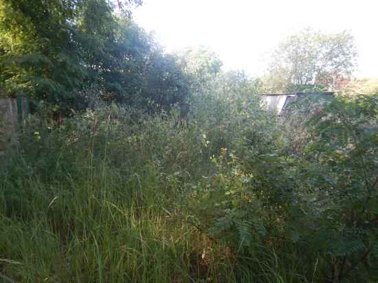 uborka-dachnogo-uchastka-852