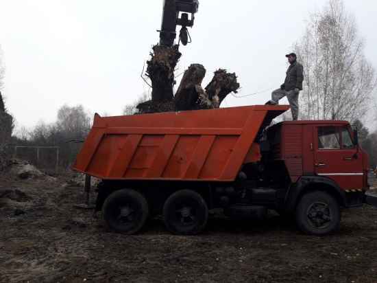 korchevka-pnej-ekskavatorom-627