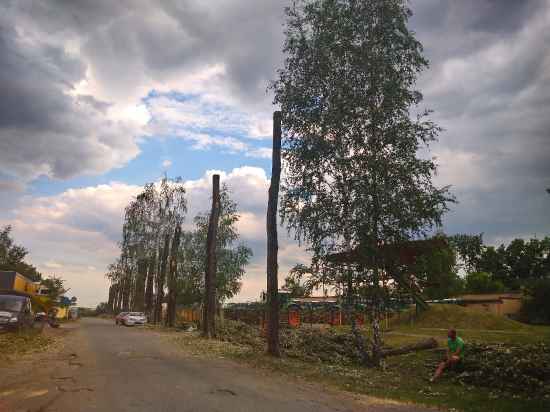 udalenie-obrezka-derevyev-344