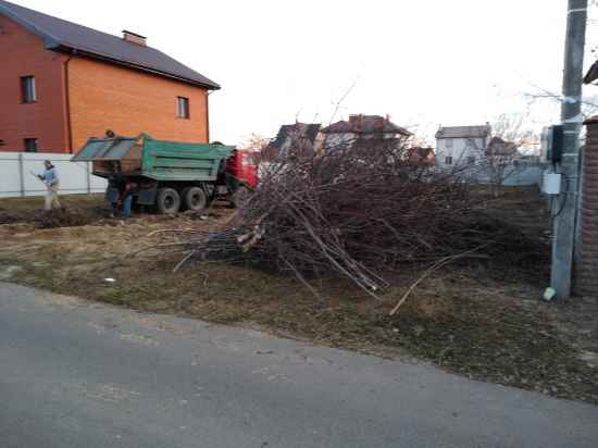 uborka-skoshennoj-travy-i-buryana-564