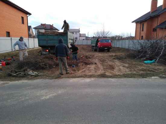 uborka-skoshennoj-travy-i-buryana-556